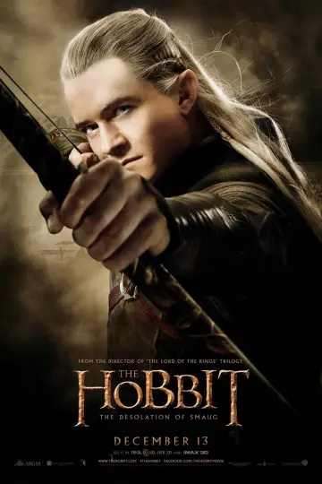 Plakat do filmu "Hobbit: Pustkowie Smauga" #16168
