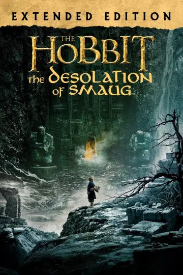 Plakat do filmu "Hobbit: Pustkowie Smauga" #16170