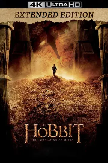 Plakat do filmu "Hobbit: Pustkowie Smauga" #16179