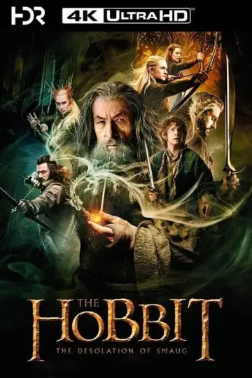Plakat do filmu "Hobbit: Pustkowie Smauga" #16181