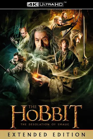 Plakat do filmu "Hobbit: Pustkowie Smauga" #16183
