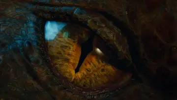 Zasłona do filmu "Hobbit: Pustkowie Smauga" #206942