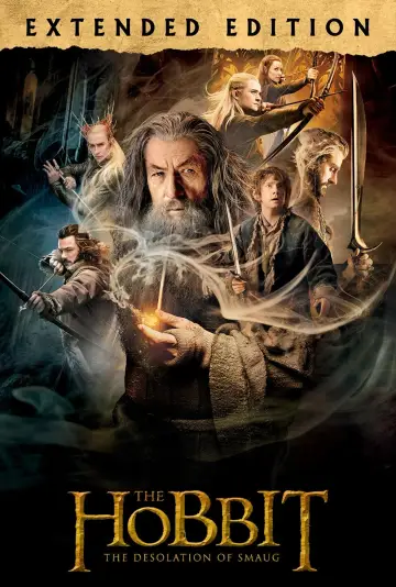 Plakat do filmu "Hobbit: Pustkowie Smauga" #206952