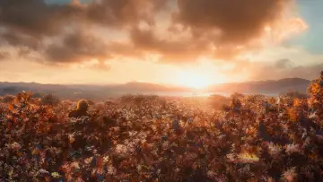 Zasłona do filmu "Hobbit: Pustkowie Smauga" #584499