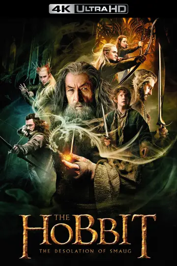 Plakat do filmu "Hobbit: Pustkowie Smauga" #584534
