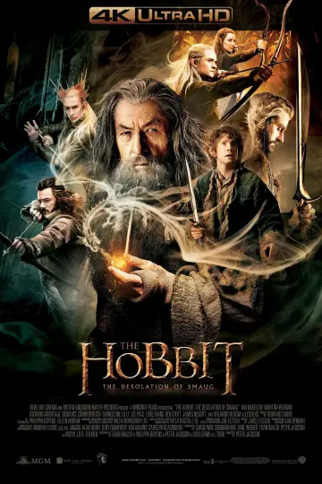 Plakat do filmu "Hobbit: Pustkowie Smauga" #584567