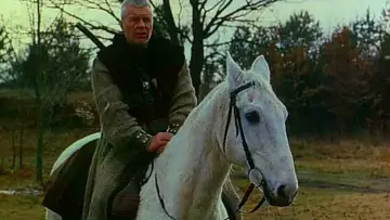 Zasłona do filmu "Wiedźmin" #494886