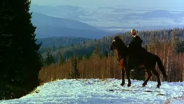 Zasłona do filmu "Wiedźmin" #494899