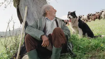 Zasłona do filmu "Le quattro volte" #842550
