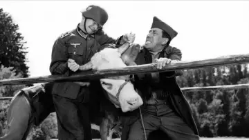 Zasłona do filmu "La Vache et le Prisonnier" #1144740