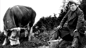 Zasłona do filmu "La Vache et le Prisonnier" #1144741