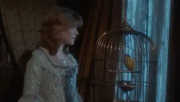 Zasłona do filmu "Fanny Hill" #649246