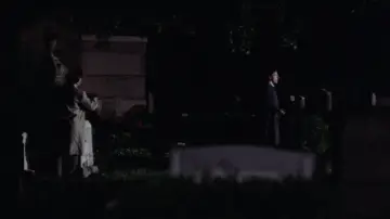 Zasłona do filmu "Mikey i Nicky" #1056060