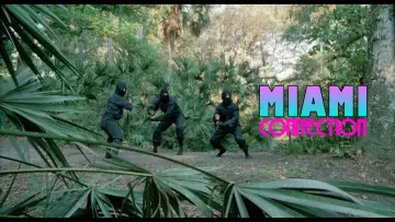 Zasłona do filmu "Łącznik z Miami" #540498