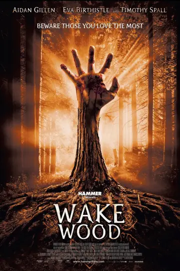 Plakat do filmu "Wake Wood" #1132002