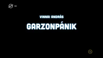 Zasłona do filmu "Garzonpánik" #1145317