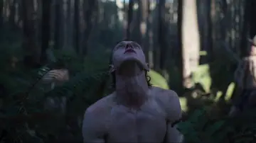 Zasłona do filmu "Prawdziwa historia gangu Kelly