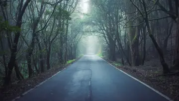 Zasłona do filmu "La Gomera" #405946