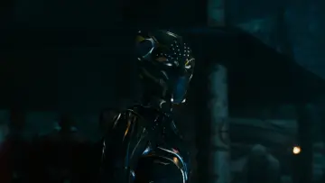 Zasłona do filmu "Czarna Pantera: Wakanda w moim sercu" #1155764