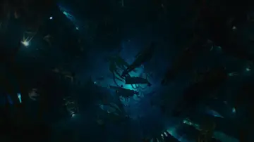 Zasłona do filmu "Czarna Pantera: Wakanda w moim sercu" #1215313