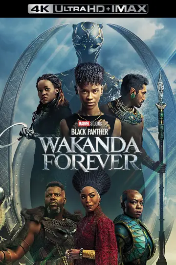 Plakat do filmu "Czarna Pantera: Wakanda w moim sercu" #1893021
