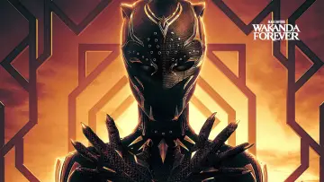 Zasłona do filmu "Czarna Pantera: Wakanda w moim sercu" #4269