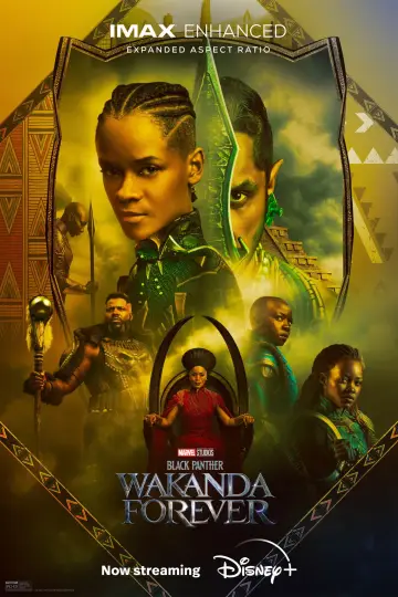 Plakat do filmu "Czarna Pantera: Wakanda w moim sercu" #4304
