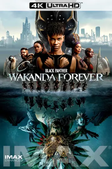 Plakat do filmu "Czarna Pantera: Wakanda w moim sercu" #4306