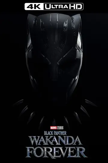 Plakat do filmu "Czarna Pantera: Wakanda w moim sercu" #4332