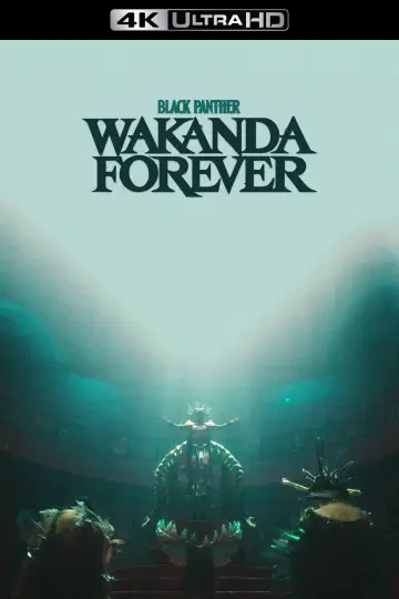 Plakat do filmu "Czarna Pantera: Wakanda w moim sercu" #4334