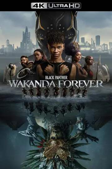 Plakat do filmu "Czarna Pantera: Wakanda w moim sercu" #4336