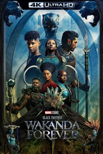 Plakat do filmu "Czarna Pantera: Wakanda w moim sercu" #4351