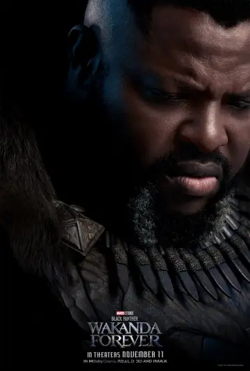 Plakat do filmu "Czarna Pantera: Wakanda w moim sercu" #4377