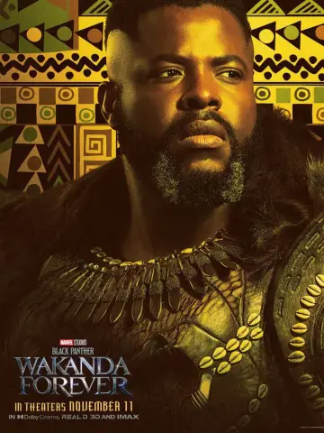 Plakat do filmu "Czarna Pantera: Wakanda w moim sercu" #4382