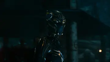 Zasłona do filmu "Czarna Pantera: Wakanda w moim sercu" #562367
