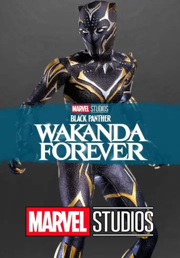Plakat do filmu "Czarna Pantera: Wakanda w moim sercu" #562411