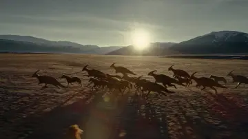 Zasłona do filmu "Jurassic World: Dominion" #565090