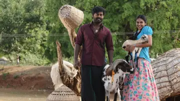Zasłona do filmu "பில்லா பாண்டி" #1148804