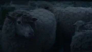 Zasłona do filmu "Może pora z tym skończyć" #872114