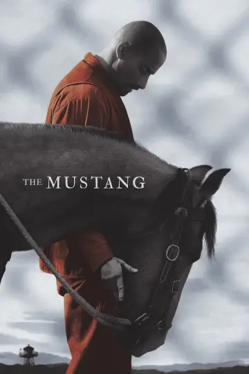 Plakat do filmu "Mustang" #252805