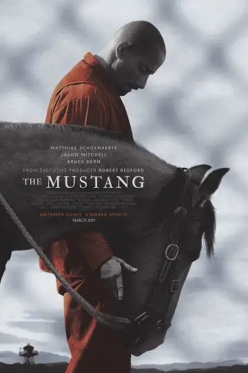 Plakat do filmu "Mustang" #252806
