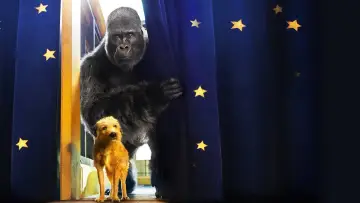 Zasłona do filmu "Jedyny i niepowtarzalny Ivan" #216902