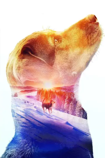 Plakat do filmu "O psie, który wrócił do domu" #222387