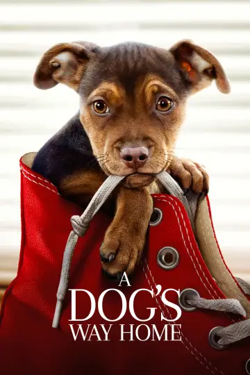 Plakat do filmu "O psie, który wrócił do domu" #71525