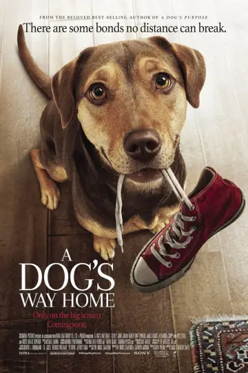 Plakat do filmu "O psie, który wrócił do domu" #71528