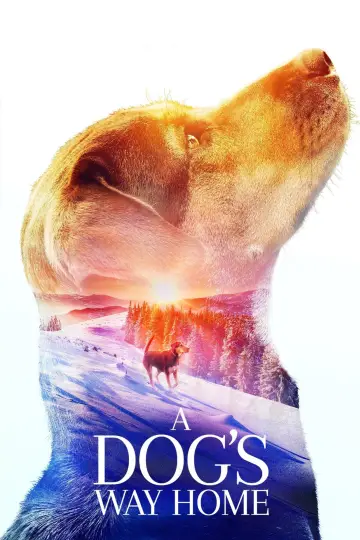 Plakat do filmu "O psie, który wrócił do domu" #71529