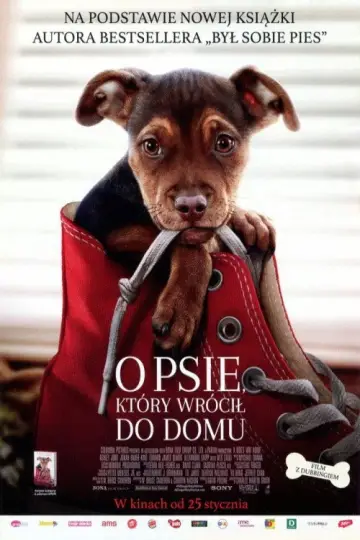 Plakat do filmu "O psie, który wrócił do domu" #886108
