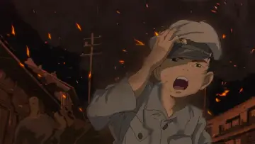 Zasłona do filmu "Chłopiec i czapla" #162454