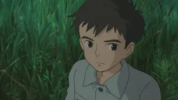 Zasłona do filmu "Chłopiec i czapla" #1627423