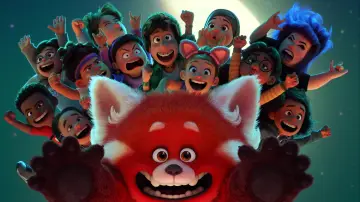 Zasłona do filmu "To nie wypanda" #166162